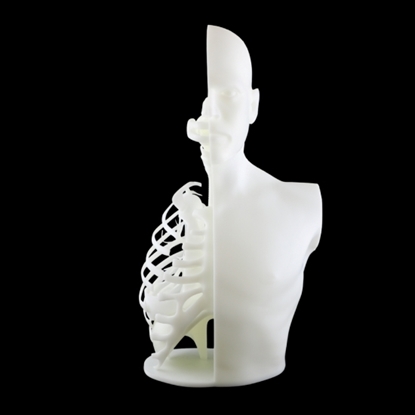 Εικόνα της White Resin ZR500R